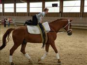 voltitag 2009 _CD1 051